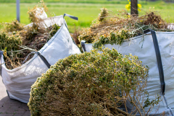 Trusted Rugby, ND Junk Removal Services Experts